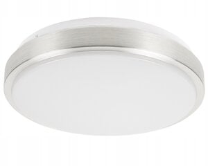 Led-lux laelamp, valge hind ja info | Laelambid | kaup24.ee