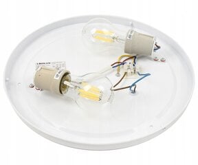Потолочный светильник Led-lux, белый цена и информация | Потолочные светильники | kaup24.ee