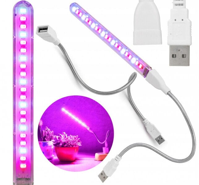 LED USB lamp taimedele Mini Heckermann, 17277795 hind ja info | Nutipotid ja taimelambid | kaup24.ee