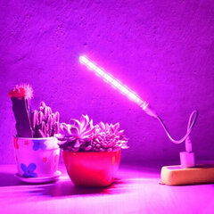 LED USB lamp taimedele Mini Heckermann, 17277795 цена и информация | Проращиватели, лампы для растений | kaup24.ee