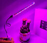 LED USB lamp taimedele Mini Heckermann, 17277795 hind ja info | Nutipotid ja taimelambid | kaup24.ee