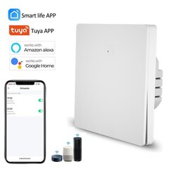 Nutikas wifi elektrilüliti kaugrakendusega 600W LIVMAN DS-1081WL hind ja info | Lülitid ja pistikupesad | kaup24.ee