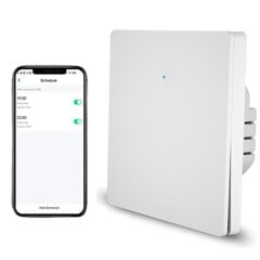 Nutikas wifi elektrilüliti kaugrakendusega 600W LIVMAN DS-1081WL hind ja info | Lülitid ja pistikupesad | kaup24.ee