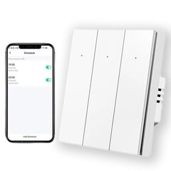 Nutikas wifi elektrilüliti kaugrakendusega 600W LIVMAN DS-1081WL цена и информация | Выключатели, розетки | kaup24.ee