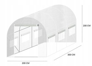 Kasvuhoone 300 x 200cm, 6m2 hind ja info | Kasvuhooned | kaup24.ee