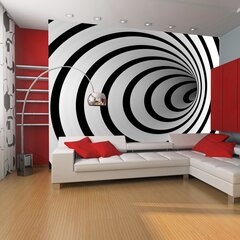 Fototapeet - Black and white 3D tunnel цена и информация | Фотообои | kaup24.ee