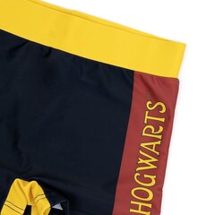 плавки-шорты для мальчиков Harry Potter Разноцветный цена и информация | Плавки для мальчиков | kaup24.ee