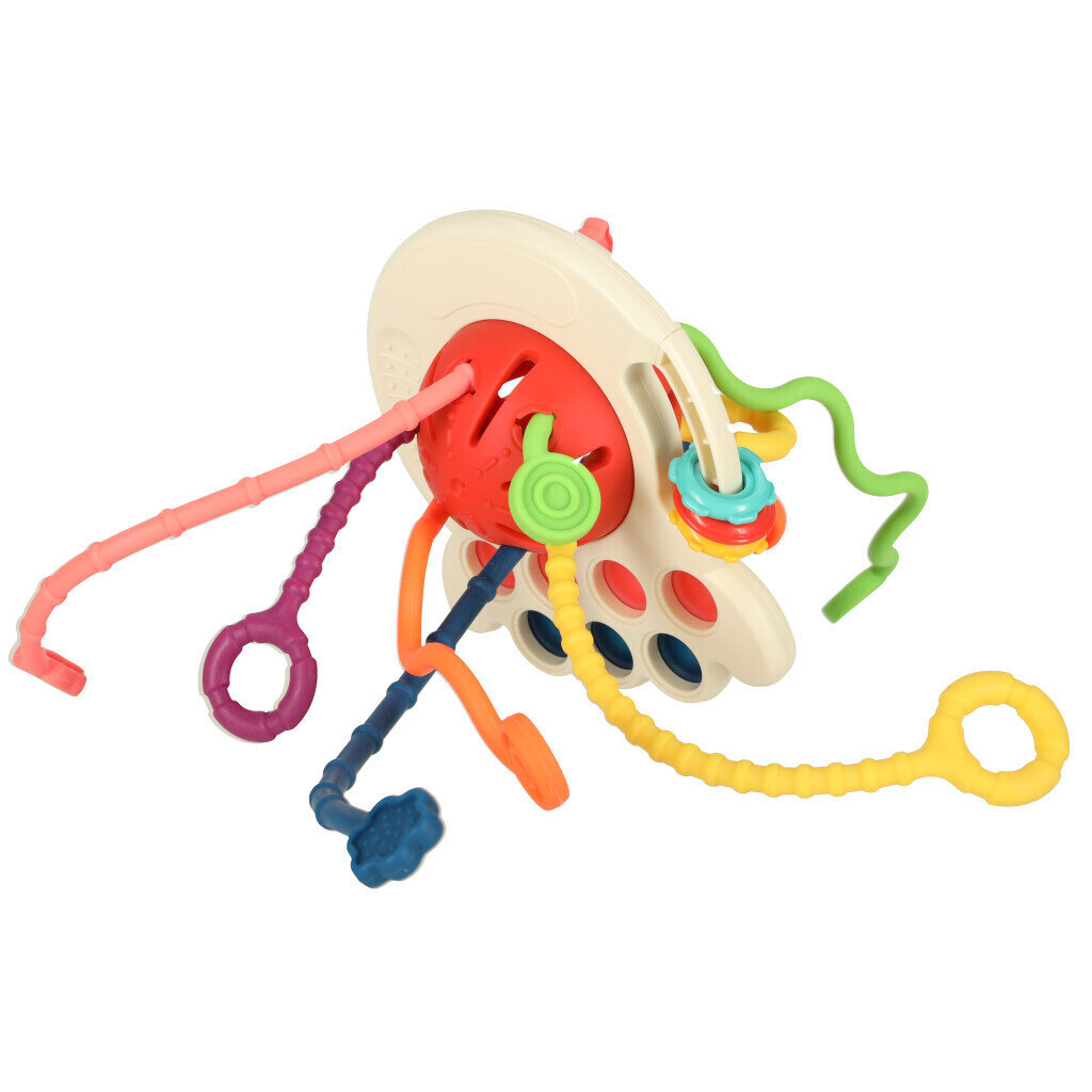 Montessori sensoorsed mänguasjad, hammustus, punane hind ja info | Imikute mänguasjad | kaup24.ee