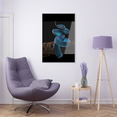 Картина из закаленного стекла Змея на ветке цена и информация | Картины, живопись | kaup24.ee