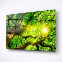 Картина из закаленного стекла Ветки деревьев цена и информация | Картины, живопись | kaup24.ee