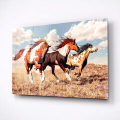 Картина из закаленного стекла Три лошади цена и информация | Картины, живопись | kaup24.ee