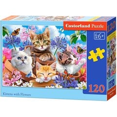 Пазл "Котята и цветы" Castorland, 120 деталей цена и информация | Пазлы | kaup24.ee