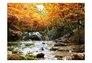 Fototapeet - autumn - waterfall цена и информация | Фотообои | kaup24.ee