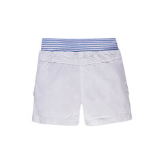 Lühikesed püksid poistele, hall hind ja info | Lühikesed püksid beebidele | kaup24.ee