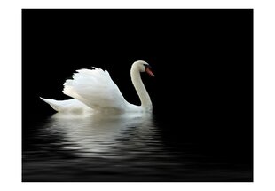 Fototapeet - swan (black and white) hind ja info | Fototapeedid | kaup24.ee