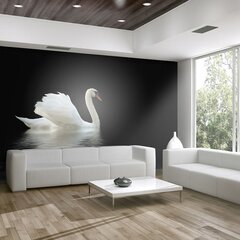 Fototapeet - swan (black and white) hind ja info | Fototapeedid | kaup24.ee