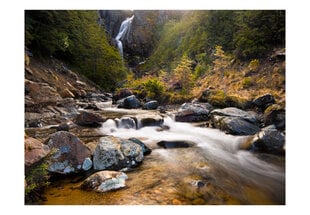 Fototapeet - Ohakune - Waterfalls in New Zealand цена и информация | Фотообои | kaup24.ee