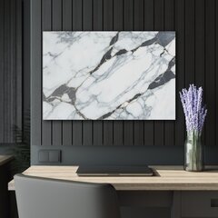 Картина из закаленного стекла Серо-белый мрамор цена и информация | Картины, живопись | kaup24.ee