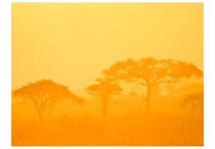 Fototapeet - Orange savanna hind ja info | Fototapeedid | kaup24.ee