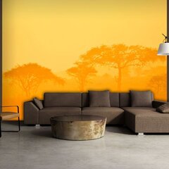Fototapeet - Orange savanna цена и информация | Фотообои | kaup24.ee