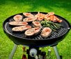 Gaasigrill Grill Chef, 47 cm, must hind ja info | Grillid | kaup24.ee