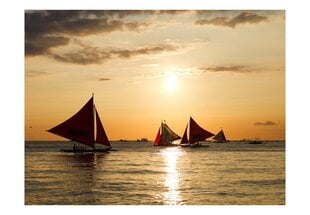 Fototapeet - sailing boats - sunset hind ja info | Fototapeedid | kaup24.ee