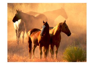 Fototapeet - Wild horses of the steppe цена и информация | Фотообои | kaup24.ee