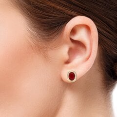 Kuldsed kõrvarõngad ovaalse punase strassiga цена и информация | Серьги | kaup24.ee