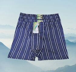 Aluspüksid meestele, sinine, 4 tk hind ja info | Meeste aluspesu | kaup24.ee