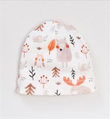 Шапка для мальчика Nini, ABN-3121 цена и информация | Шапки, перчатки, шарфики для новорожденных | kaup24.ee