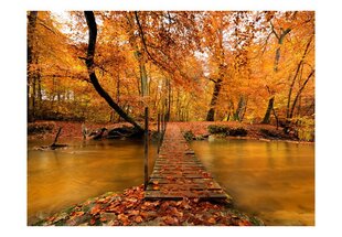 Fototapeet - Autumn bridge hind ja info | Fototapeedid | kaup24.ee