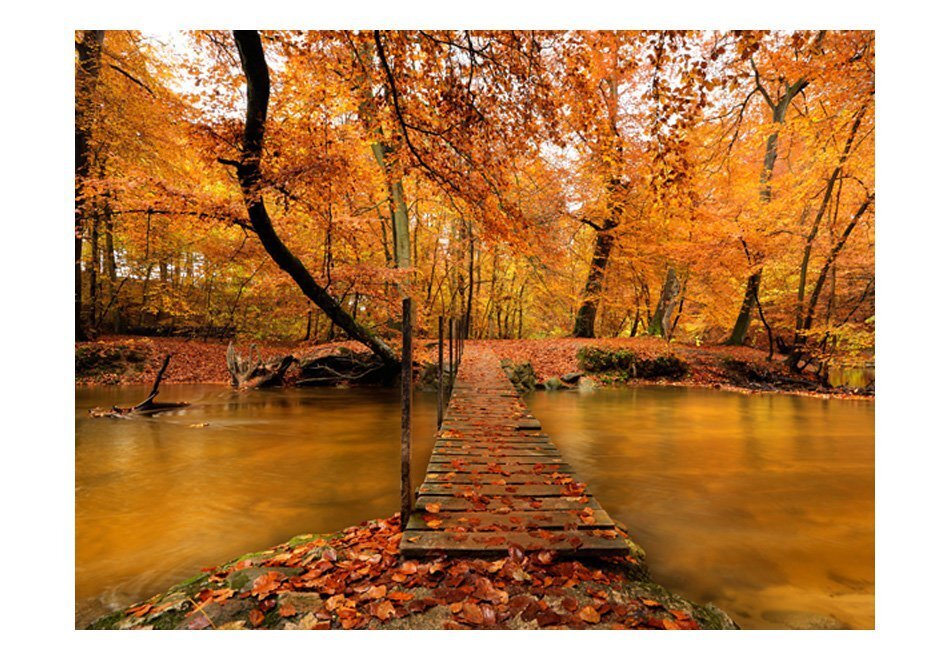 Fototapeet - Autumn bridge hind ja info | Fototapeedid | kaup24.ee