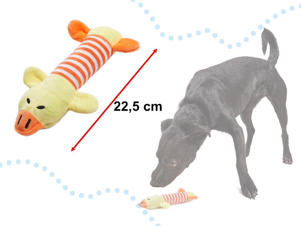 Koera närimis mänguasi hind ja info | Mänguasjad koertele | kaup24.ee