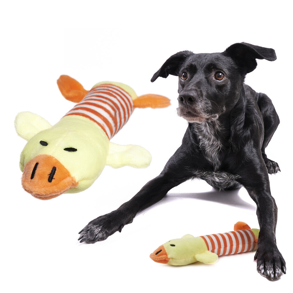 Koera närimis mänguasi hind ja info | Mänguasjad koertele | kaup24.ee
