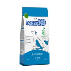 Forza10 Medium Maintenance täiskasvanud keskmist tõugu koertele, kalaga 12,5 kg hind ja info | Kuivtoit koertele | kaup24.ee