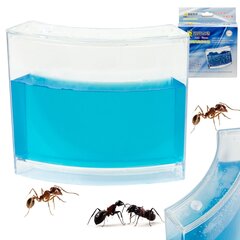 Hariv geelakvaarium sipelgatele hind ja info | Arendavad mänguasjad | kaup24.ee