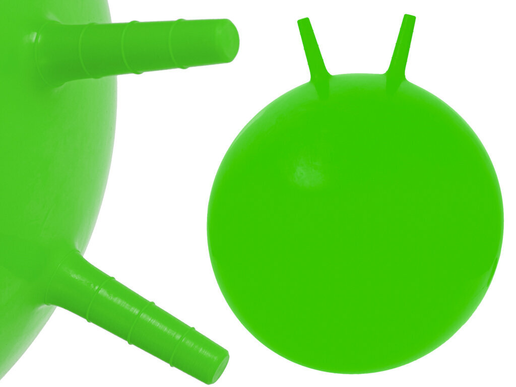 Hüppepall, 65 cm, roheline цена и информация | Mänguasjad (vesi, rand ja liiv) | kaup24.ee