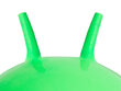 Hüppepall, 65 cm, roheline цена и информация | Mänguasjad (vesi, rand ja liiv) | kaup24.ee