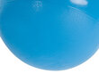 Hüppepall, 45 cm, sinine цена и информация | Mänguasjad (vesi, rand ja liiv) | kaup24.ee