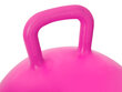 Hüppepall, 45 cm, roosa hind ja info | Mänguasjad (vesi, rand ja liiv) | kaup24.ee