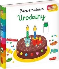 День рождения цена и информация | Книги для детей | kaup24.ee