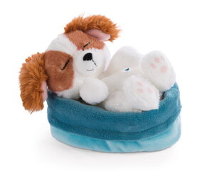 Pehme magav lemmikloom Nici, kutsikas 12 cm hind ja info | Pehmed mänguasjad | kaup24.ee