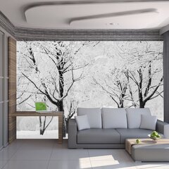 Fototapeet - Trees - winter landscape цена и информация | Фотообои | kaup24.ee