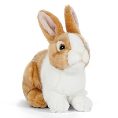 LIVING NATURE Плюшевая игрушка коричневый кролик, 18 см цена и информация | Мягкие игрушки | kaup24.ee