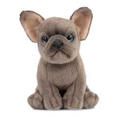 LIVING NATURE Плюшевая игрушка щенок французского бульдога, 16 см цена и информация | Мягкие игрушки | kaup24.ee