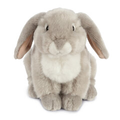 LIVING NATURE Плюшевая игрушка французский кролик, серый, 22 см цена и информация | Мягкие игрушки | kaup24.ee