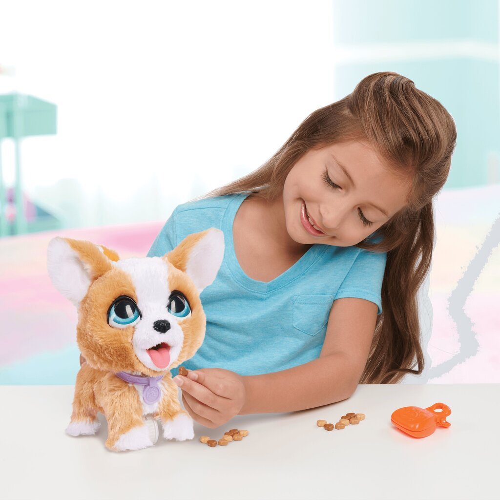 Interaktiivne corgi Furreal Pooplatos hind ja info | Tüdrukute mänguasjad | kaup24.ee