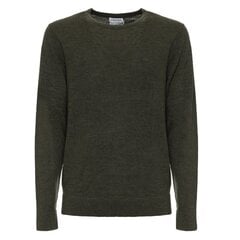 Свитер мужской Calvin Klein 8719856932015, зеленый цена и информация | свитер e193 - черный | kaup24.ee