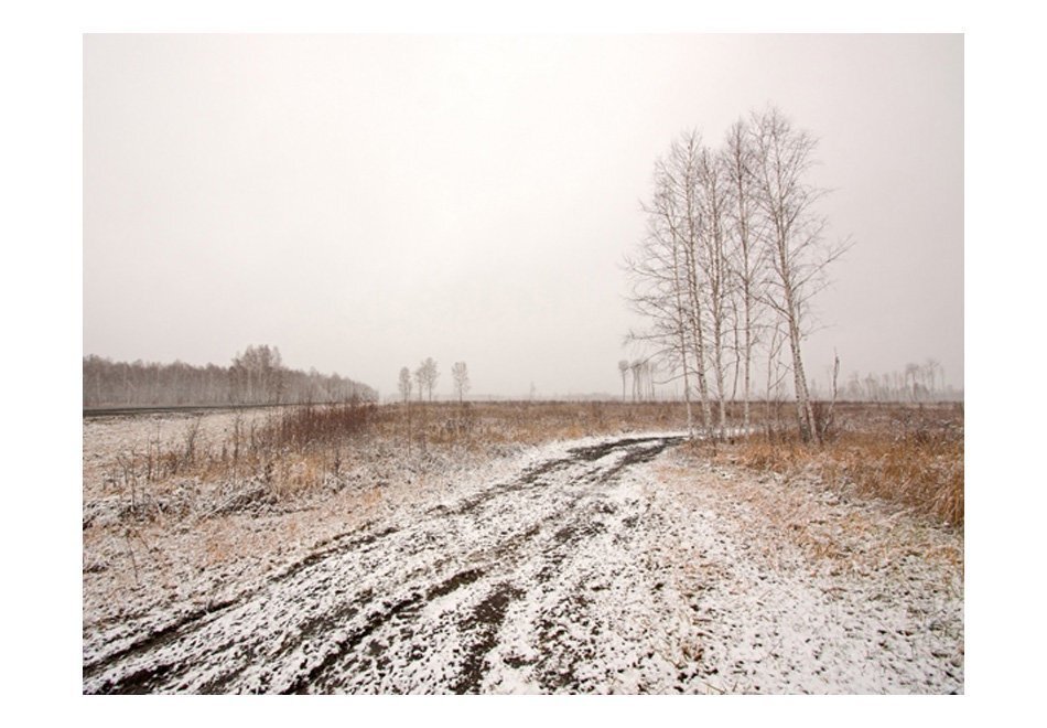Fototapeet - Winter field цена и информация | Fototapeedid | kaup24.ee