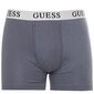 Guess aluspüksid meestele 7620207679934, erinevad värvid, 2 tk hind ja info | Meeste aluspesu | kaup24.ee